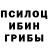 Галлюциногенные грибы Psilocybine cubensis Danil Batyrshin