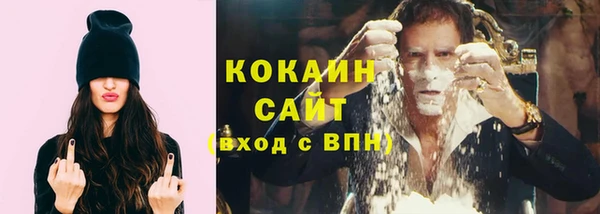 гашик Переславль-Залесский