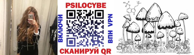 Псилоцибиновые грибы Psilocybe  Новосибирск 