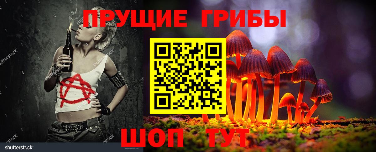 Новосибирск  Галлюциногенные грибы MAGIC MUSHROOMS  Псилоцибиновые грибы прущие грибы  Вход с VPN 