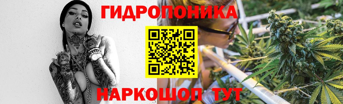 Шишки марихуана планчик  Конопля план  Вход с VPN  Новосибирск  Каннабис White Widow  Шишки марихуана VHQ 